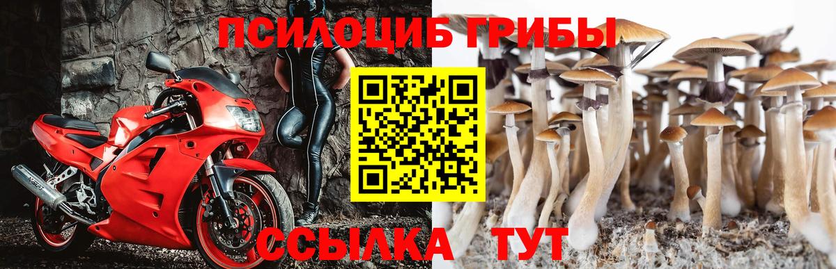 Псилоцибиновые грибы Magic Shrooms  Вход с VPN  Назрань  Псилоцибиновые грибы мицелий 