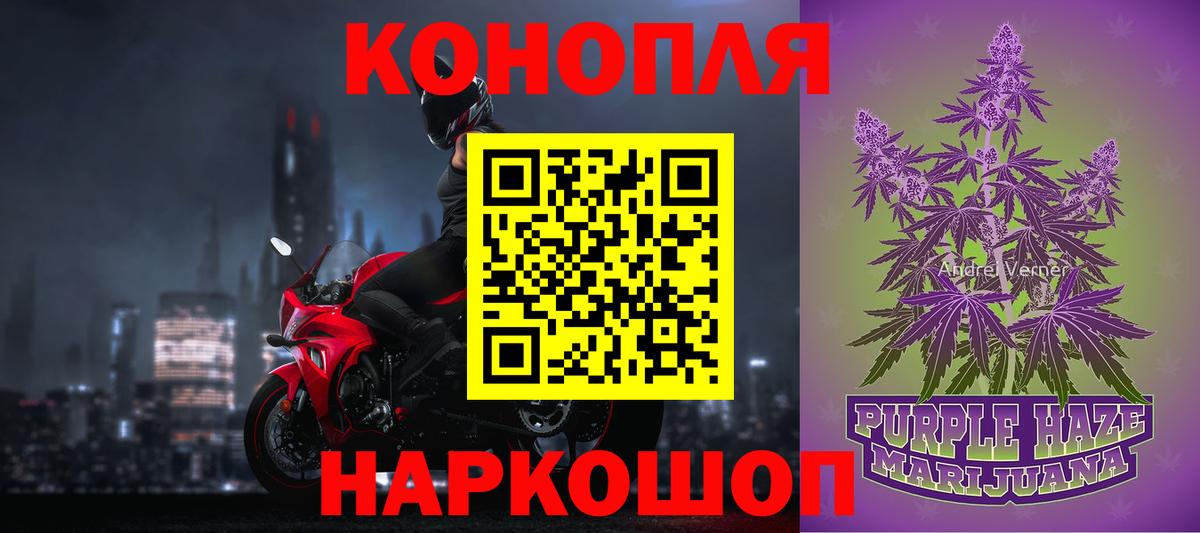 Марихуана сатива Назрань